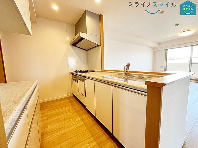 キッチン 平洲小学校サンクレイドル東海グランデ 3階/-