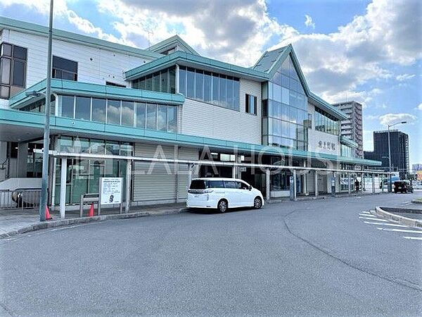 周辺を拡大表示