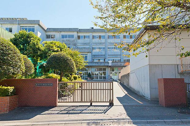 湘南台中学校まで約1300m