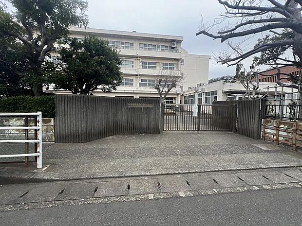 七里ガ浜小学校まで約175m