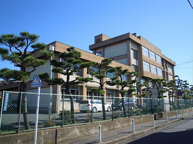 亀井野小学校