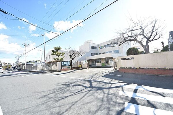 茅ヶ崎市立東海岸小学校約180ｍお子さまを育むのに向いた立地です自然豊かな通学路は嬉しい