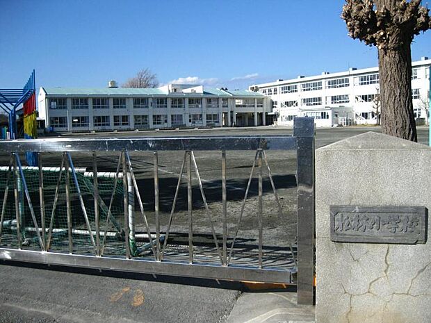 松林小学校お子さまを育むのに向いた立地です自然豊かな通学路は嬉しい