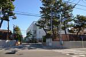 松浪小学校約530m。お子さまを育むのに向いた立地です自然豊かな通学路は嬉しい。お子様の足でもゆとりをもって通える距離感は魅力的です。