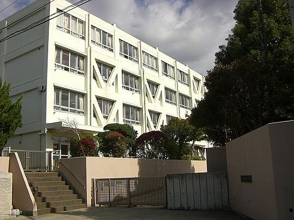西鎌倉小学校：790ｍ