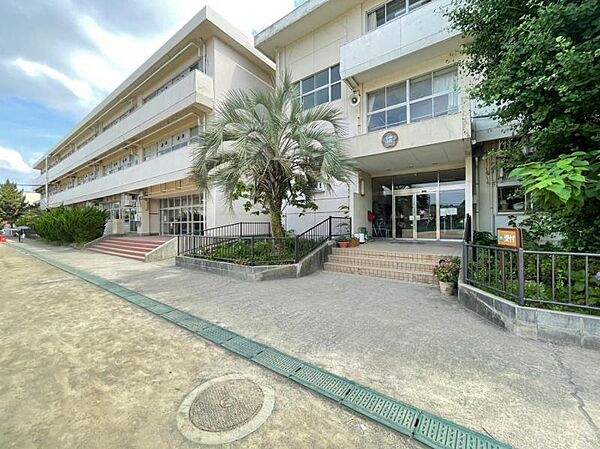 深沢小学校：500ｍ