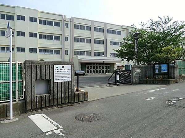 柳島小学校まで990ｍ