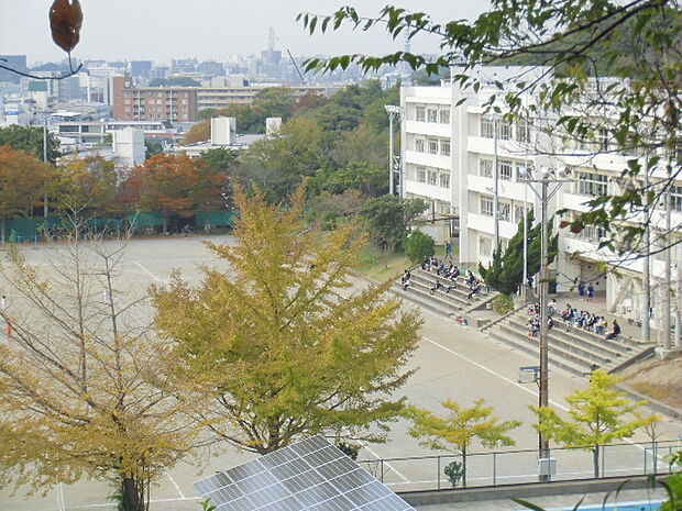 深沢中学校