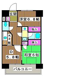 パールモア新井堂 5階2DKの間取り