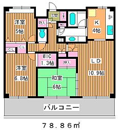 アソシエール練馬春日町 3LDKの間取図画像