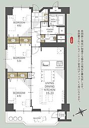 緑丘コータース