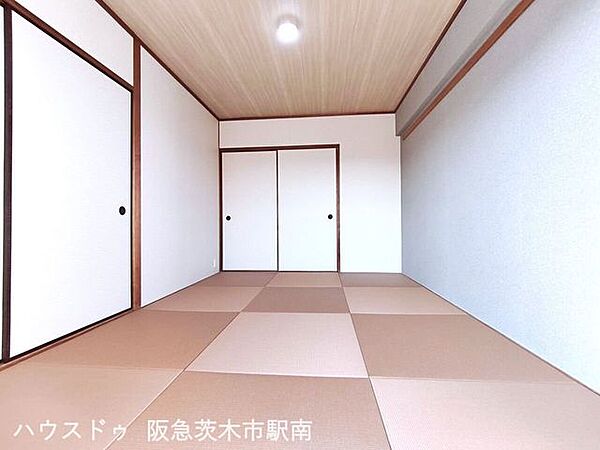 和室6.0帖