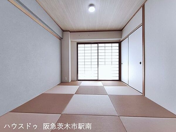 和室6.0帖