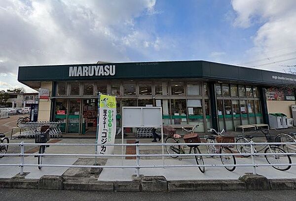 マルヤス 玉川店 610m