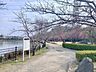 周辺：耳原公園 750m