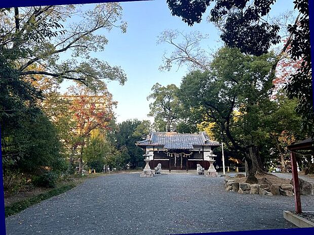 佐和良義神社 310m