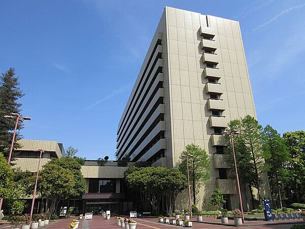画像17:姫路市役所（466m）