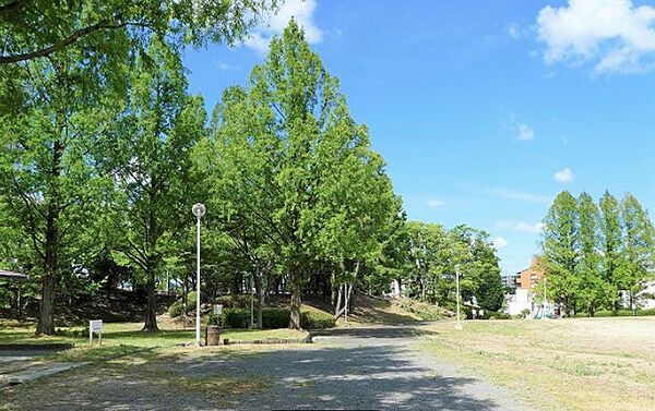 画像16:高野公園（1810m）