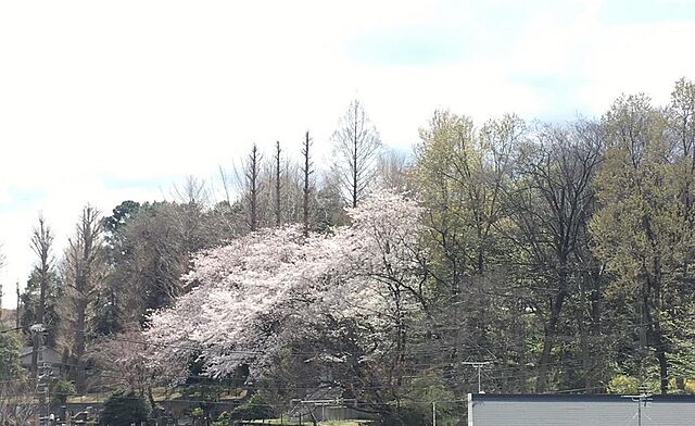 その他 テラス下目黒 3階/16