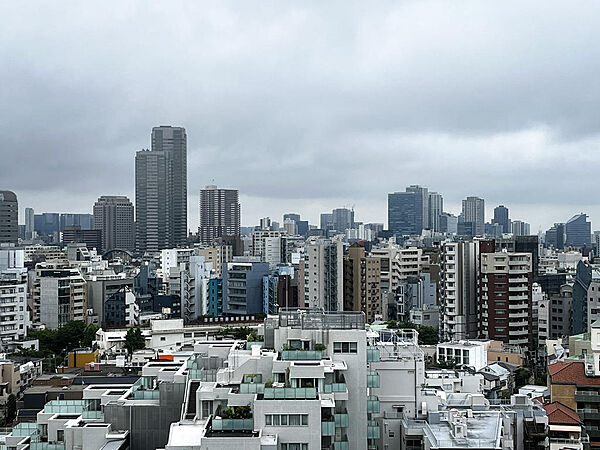 バルコニーからは代官山の低層住宅街と、遠くに港区の高層ビル群を望む開放的な眺望が広がります。都心にいながら空の広さを感じられる住環境です。