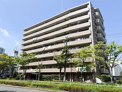 外観 外観