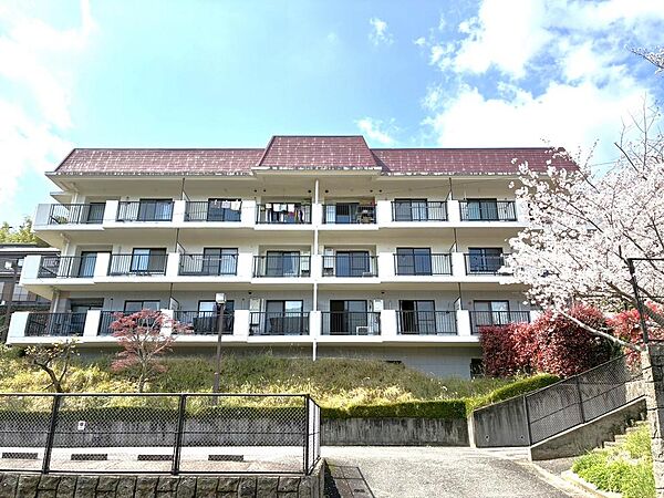 外観：342000016381