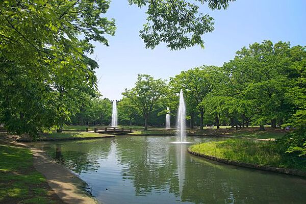 東京都立代々木公園 徒歩13分。 980m