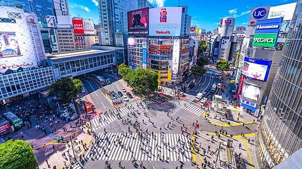 渋谷駅(JR東日本 山手線(湘南新宿ライン)) 徒歩10分。 730m