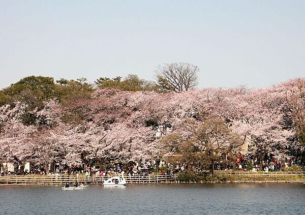 洗足池公園 徒歩6分。 460m