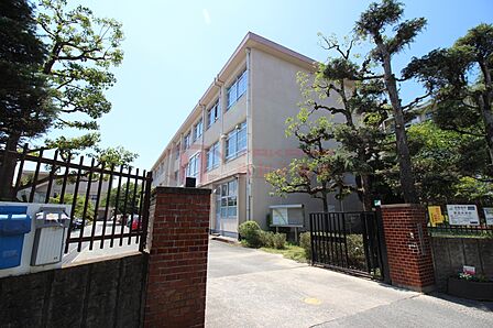 福岡市立警固中学校(700m)