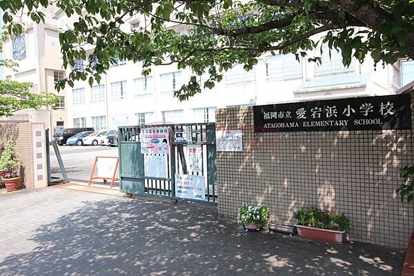 福岡市立愛宕浜小学校（473m）
