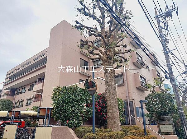 外観：313004680161