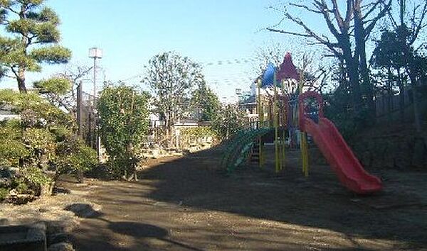 桐里自然公園（229m）