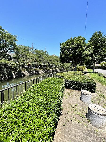 逆川沿いで散歩等にも♪