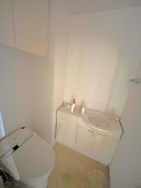 トイレ部分、手洗い器付き