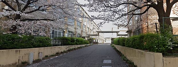 【中学校】京都市立安祥寺中学校まで1155ｍ