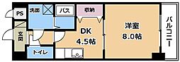ジラソーレ 8階1DKの間取り