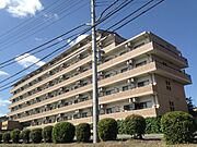 ピュアドミトリーシミズ 5階 築31年11ヶ月の賃貸物件