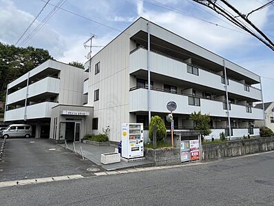 外観 外観