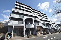 ハイムアゼーリア