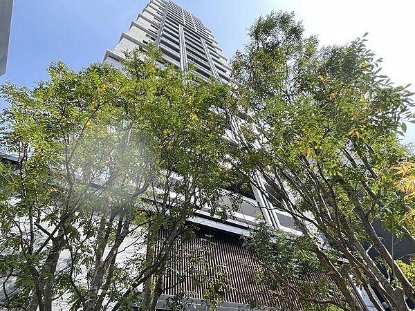 外観：323000446763