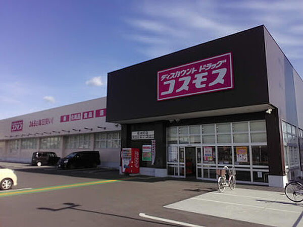 画像22:【ドラッグストア】コスモス坂本町店まで509ｍ