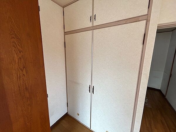 洋室収納。奥行きがありたくさん収納できます。