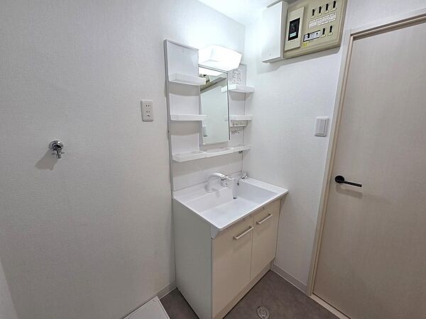シャワー付きなので使いやすくお手入れも楽です。