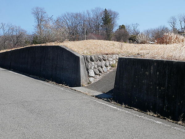 西側道路からの進入路です