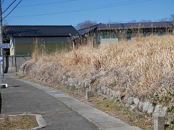 敷地と歩道の様子です