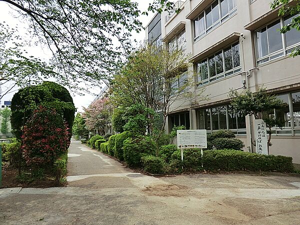 その他環境写真 600m 清瀬市立清瀬第三中学校　