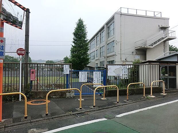 小学校 500m 福生市立福生第四小学校