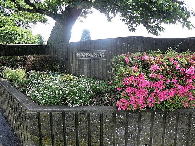 その他環境写真 640m 小平第二小学校