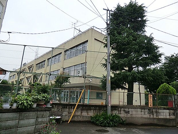 小学校 600m 立川市立大山小学校